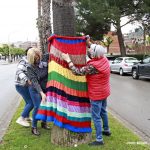 Guarniment palmeres av Constitució – 04