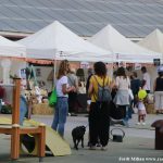 26A FIRA AL CARRER – 21