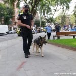 L’agent canina Kènia ES JUBILA 04