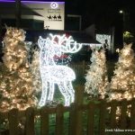 Encesa llums de Nadal 2021 – 14