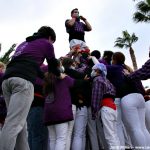 Festa Sant Andreu – Exhibició Castellers Adroc 02