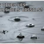 el detectiu dle temps