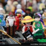 29 FIRA AL CARRER ACSSAB 10