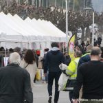 29 FIRA AL CARRER ACSSAB 14