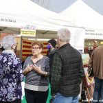 Jornada Diversitat Sant Andreu 2022- 13