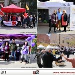 Copia de Copia de ELTEMps 18 novembre 2021