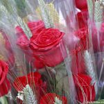 Sant Jordi 2022 Sant Andreu de la Barca 20