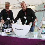 5 FIRA DEL VI – 13