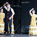 FIRA PRIMAVERA – MOSTRA ENTITATS 14