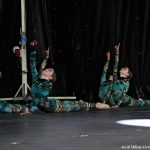 FIRA PRIMAVERA – MOSTRA ENTITATS 19