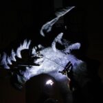 Correfoc Festa Sant Andreu 2022 – 03