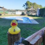 Festa i inici obres piscina Can Salvi 12