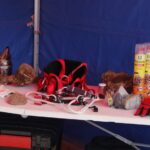 Segona trobada Potecció Civil -14