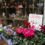 CONCURS APARADORS I PARADES DEL MERCAT 2022 – 06 Segon Premi Flors detalls Montse Guardia