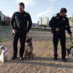 Reportatge Unitat Canina 01