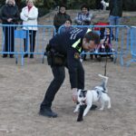 Reportatge Unitat Canina 12