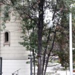 Remodelació jardins Pedemonte 04