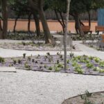 Remodelació jardins Pedemonte 06