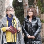 Remodelació jardins Pedemonte 07