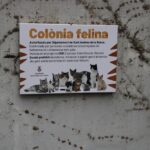 Remodelació jardins Pedemonte 15