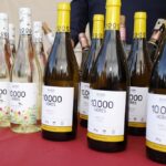 Fira del vi 2023 acte central 09