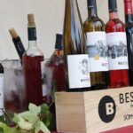 Fira del vi 2023 acte central 11