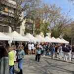 Sant Jordi 2023 – Acte central 04