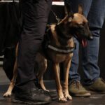 Diada Policia Local Sant Andreu Barca 2023 – 20