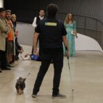 TEATRANDREU Mansión Lumbrera 18