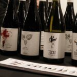 FESTA SANT ANDREU – FIRA DEL VI 05