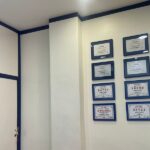 loteria-plaza-cat-01