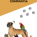 2024_01_15_08_30_19_Formació Animals de Companyia (1)