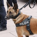 Jornades 2024 unitats canines Sant Andreu Barca 15