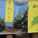 7 FIRA DEL VIA 2024 – 19