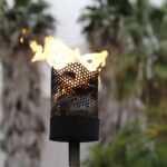 Bruixa senyor Arnau 2024 – 24