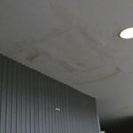 Obres Teatre Núria Espert 02