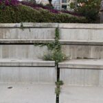 Obres Teatre Núria Espert 03