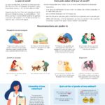 cartell consells animals revetlla