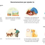 cartell consells animals revetlla2