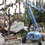 Poda de l’arbrat a Sant Andreu de la Barca (2)