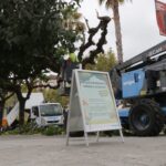 Poda de l’arbrat a Sant Andreu de la Barca (4)