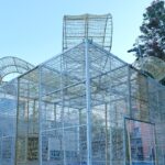 Llums de Nadal 2024 1