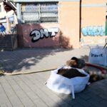 nous arbres 2024 (1)