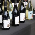 Vermutast de Festa Sant Andreu 2024 (15)