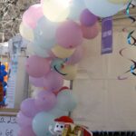 FIRA AL CARRER MARÇ 2025 (15)