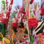 Floristeries Sant Jordi 2025 3