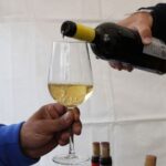 vuitena Fira del Vi (12)