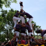 Diada Castellera fira de la primavera 2025 (11)