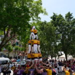 Diada Castellera fira de la primavera 2025 (15)