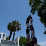 Diada Castellera fira de la primavera 2025 (5)